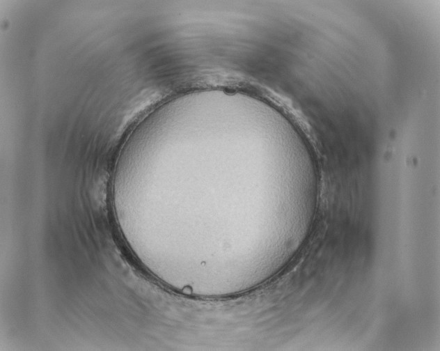 X0000089370010200707061125