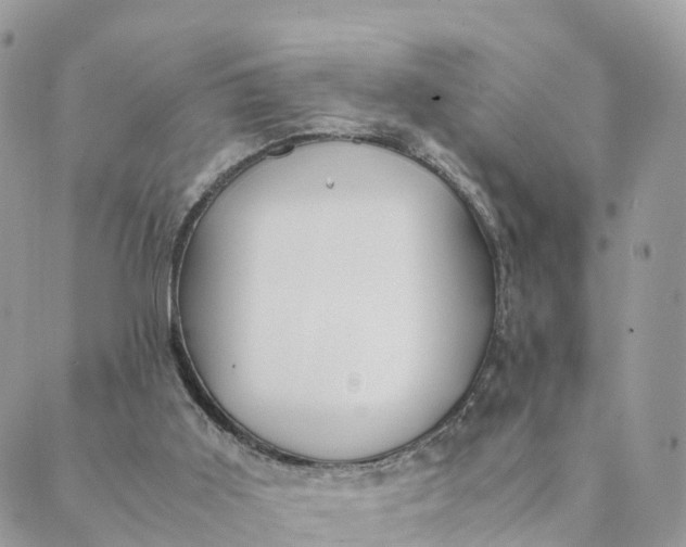 X0000089370011200707061125