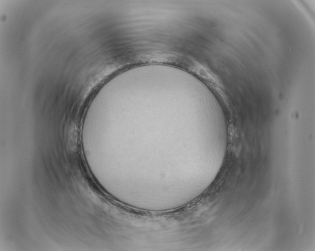 X0000089370012200707061125