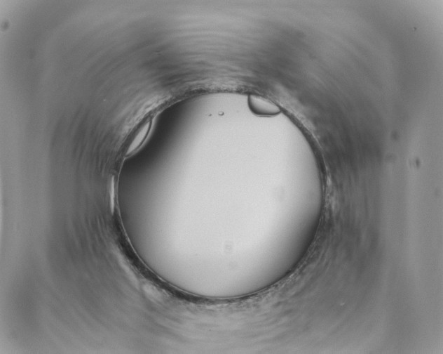 X0000089370013200707061125