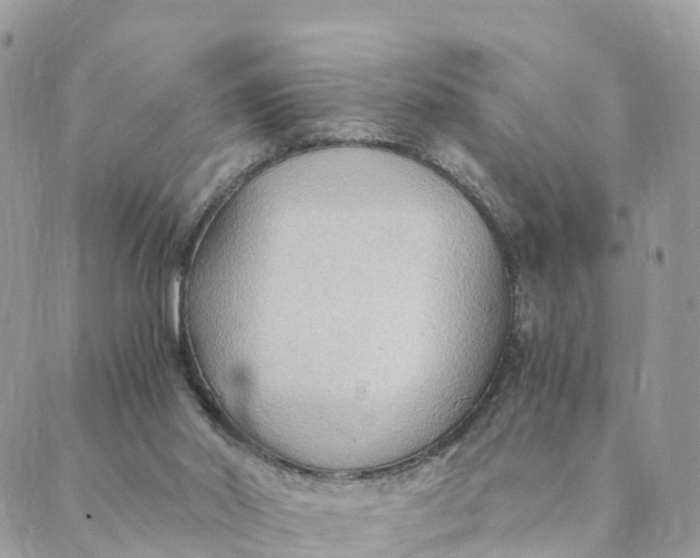 X0000089370014200707061125