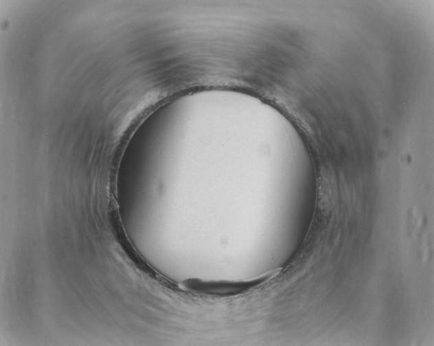 X0000089370015200707061125