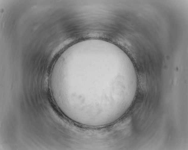 X0000089370016200707061125