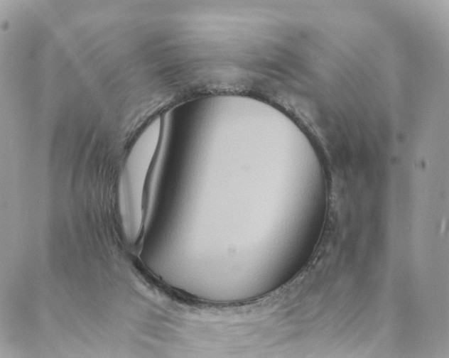 X0000089370017200707061125