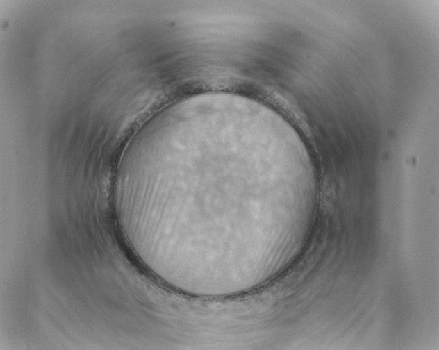 X0000089370018200707061125