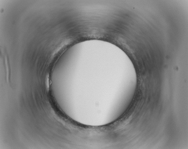 X0000089370020200707061125