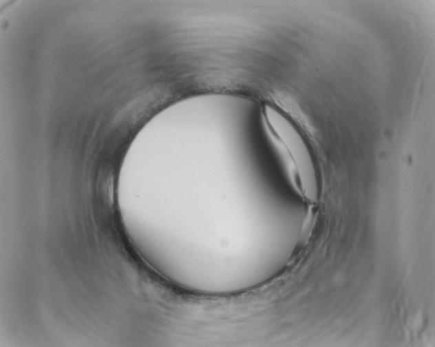 X0000089370021200707061125