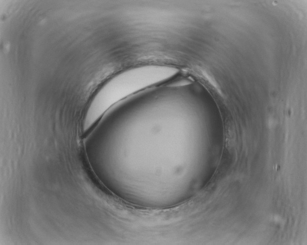 X0000089370023200707061125