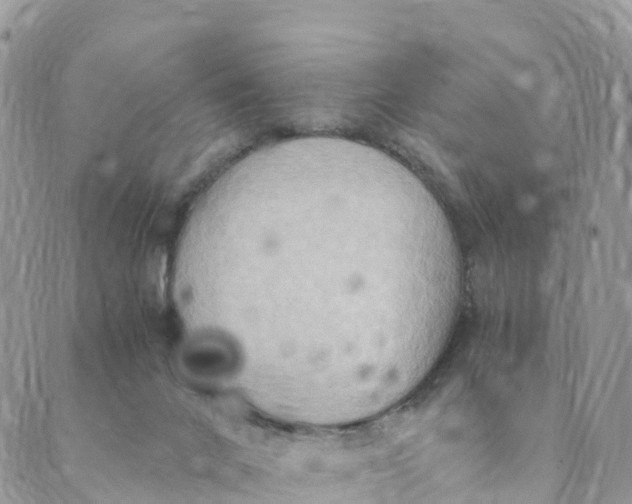 X0000089370024200707061125