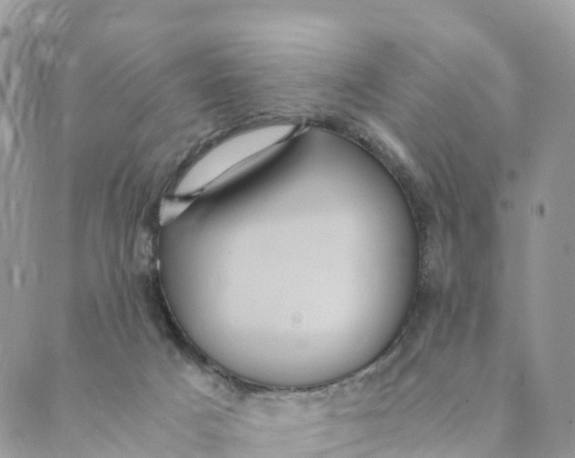 X0000089370025200707061125