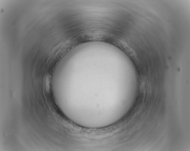 X0000089370026200707061125