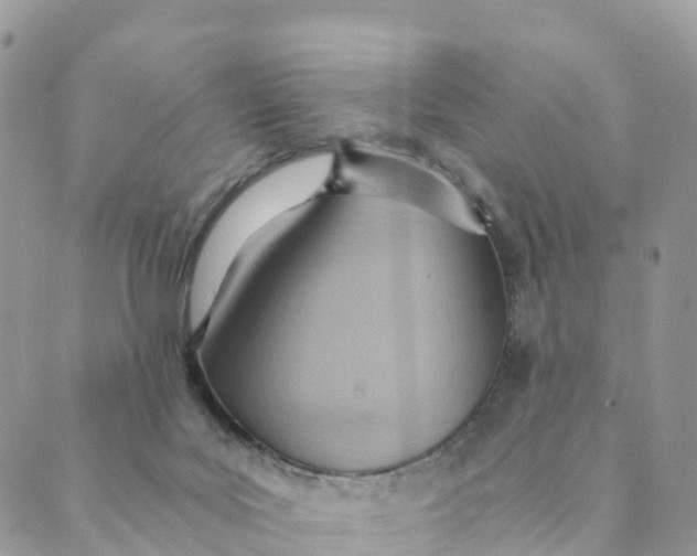 X0000089370027200707061125