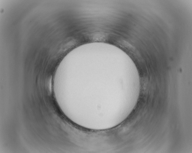 X0000089370028200707061125