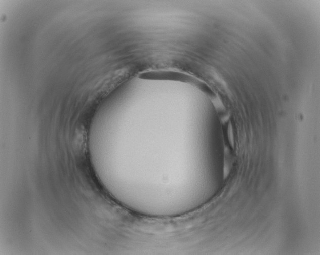 X0000089370029200707061125