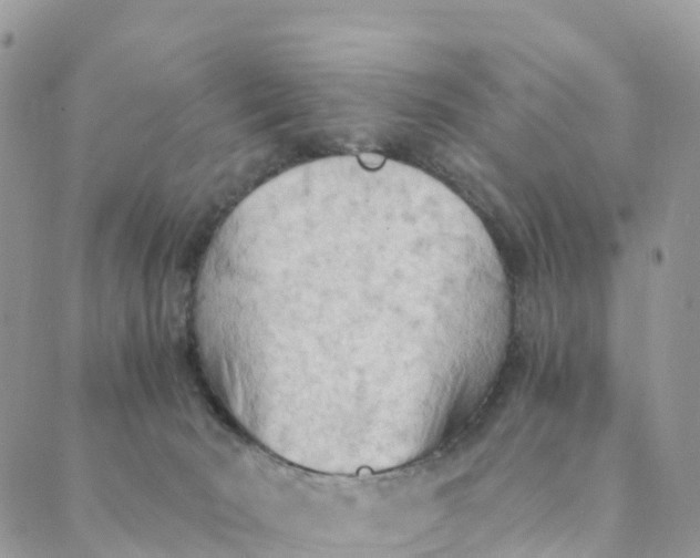 X0000089370030200707061125