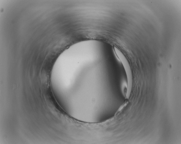 X0000089370031200707061125