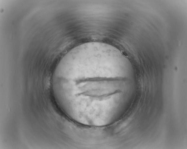 X0000089370032200707061125