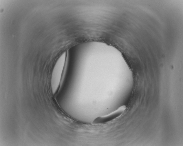 X0000089370033200707061125