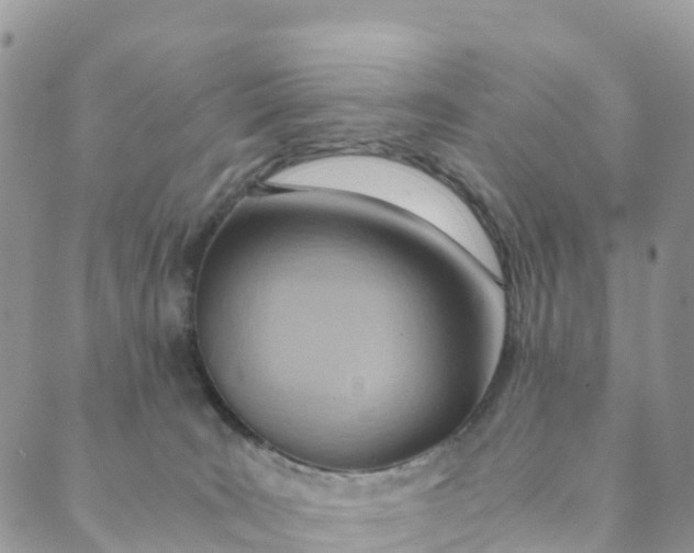 X0000089370035200707061125