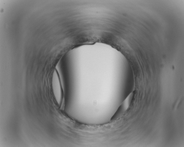 X0000089370037200707061125