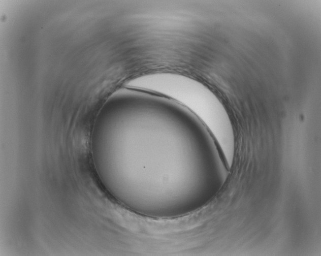 X0000089370039200707061125