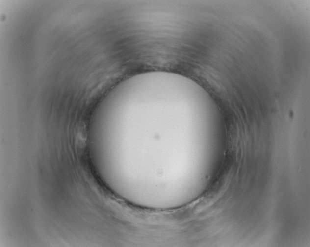 X0000089370040200707061125