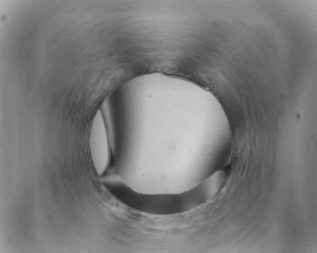 X0000089370041200707061125