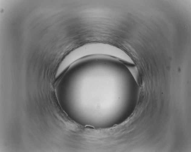 X0000089370045200707061125