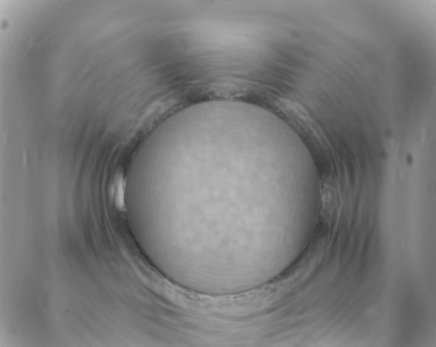 X0000089370046200707061125