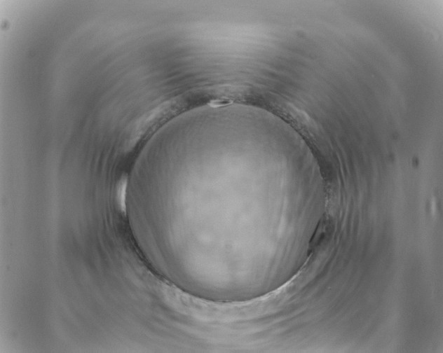 X0000089370047200707061125