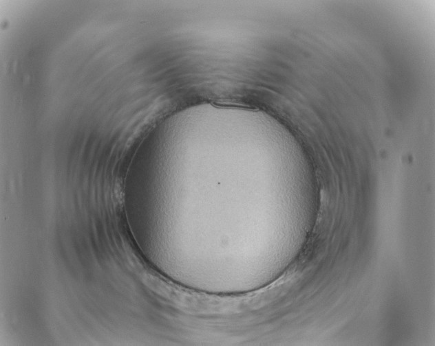 X0000089370048200707061125