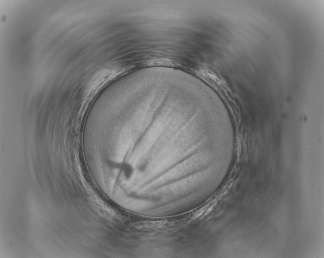 X0000089370049200707061124