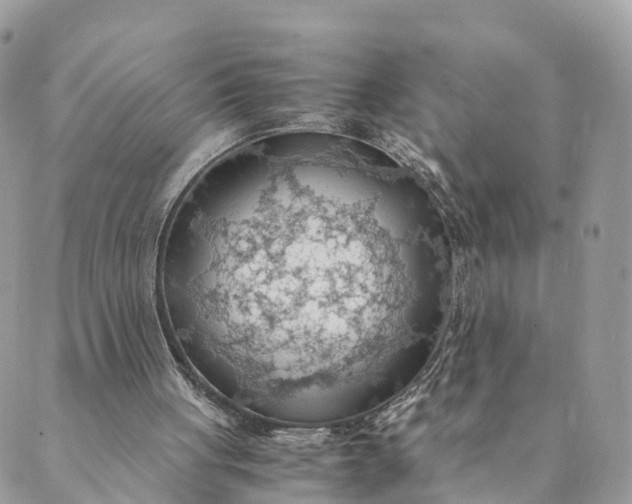 X0000089370051200707061124