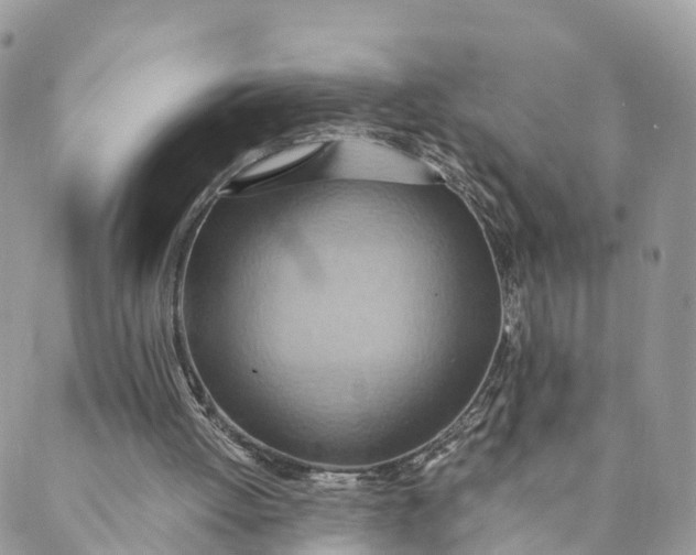 X0000089370052200707061124