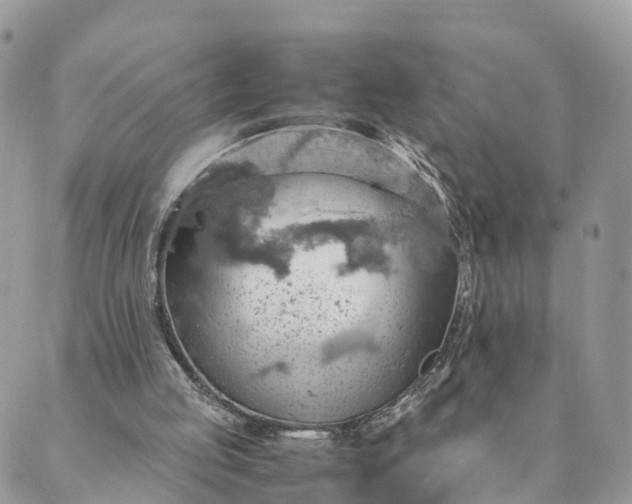 X0000089370053200707061124