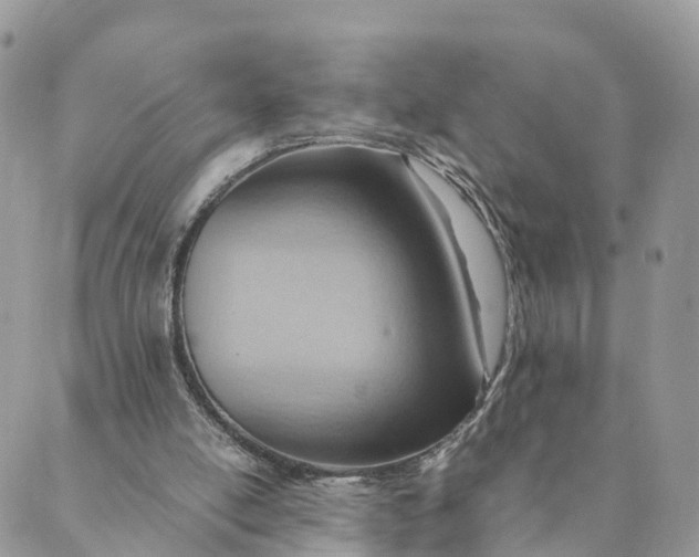 X0000089370054200707061124