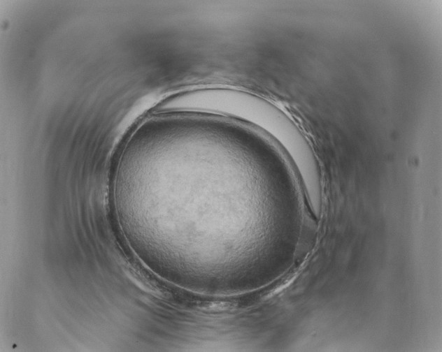 X0000089370056200707061124