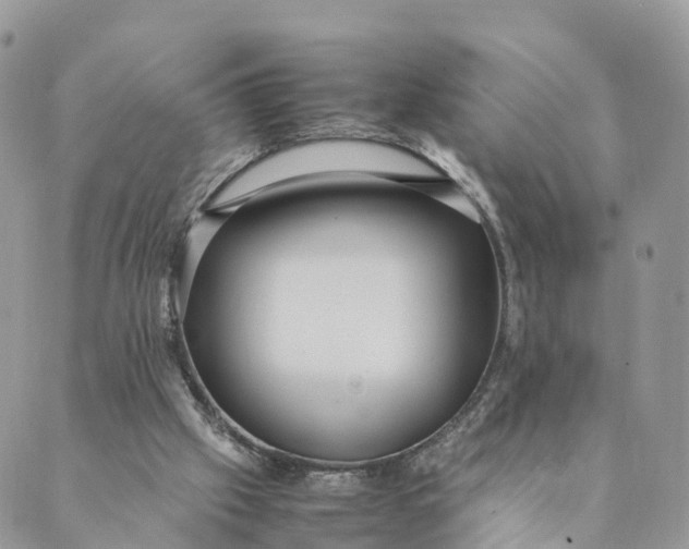 X0000089370057200707061124