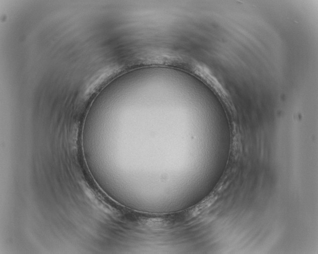 X0000089370058200707061124