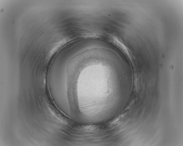 X0000089370059200707061124