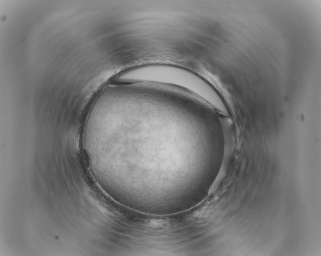 X0000089370060200707061124