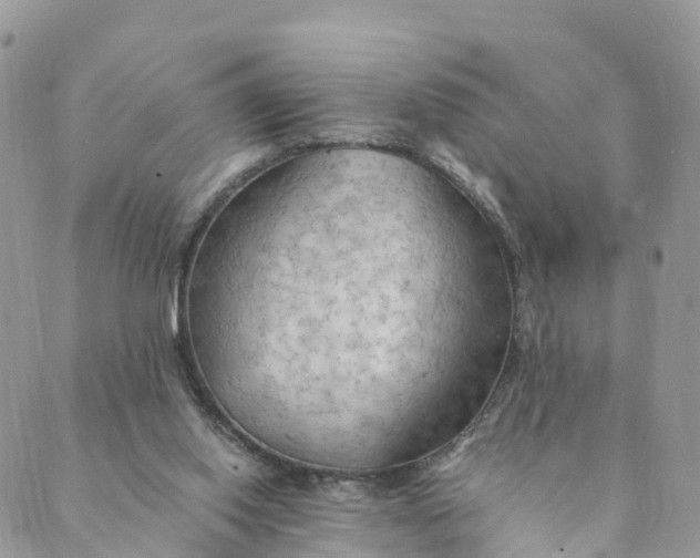 X0000089370062200707061124