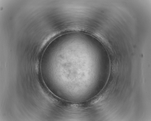 X0000089370064200707061124