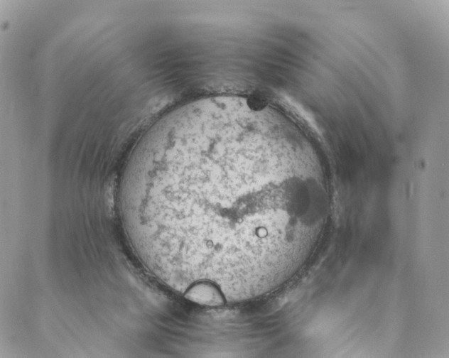 X0000089370065200707061124