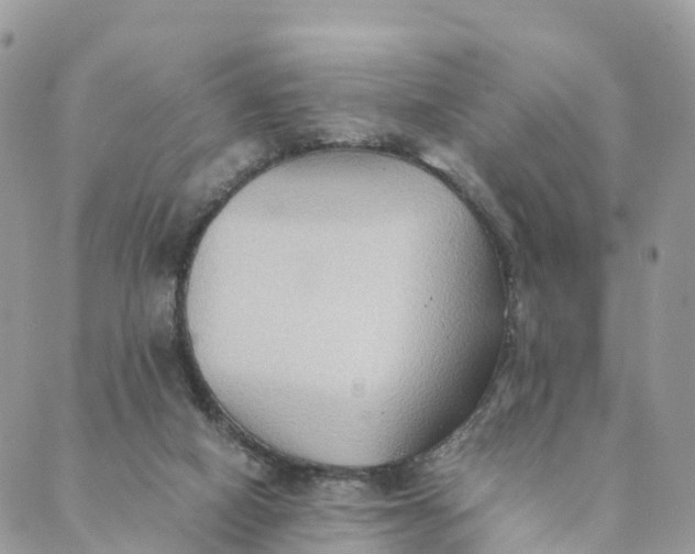 X0000089370066200707061124