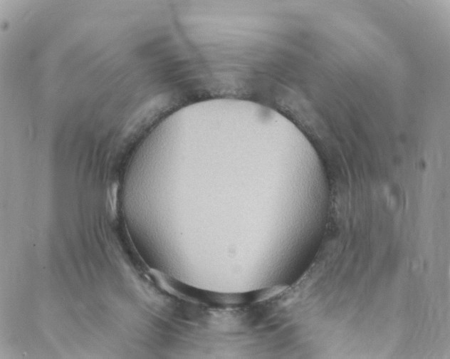 X0000089370070200707061124