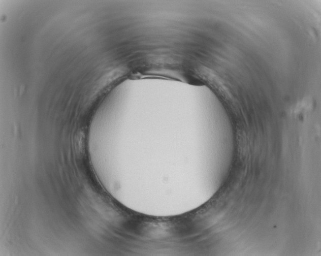 X0000089370071200707061124