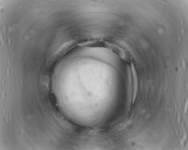 X0000089370072200707061124