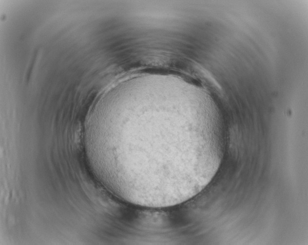 X0000089370073200707061124