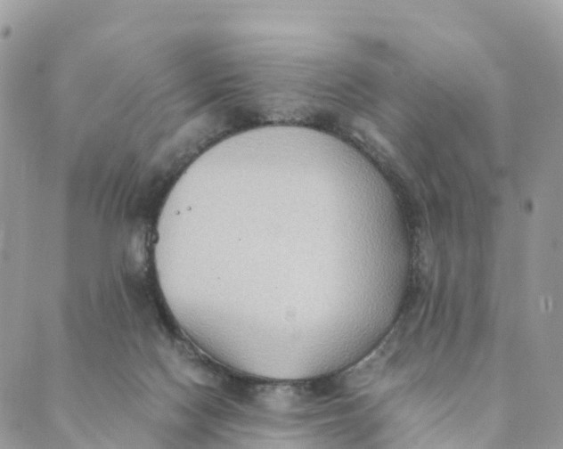 X0000089370074200707061124